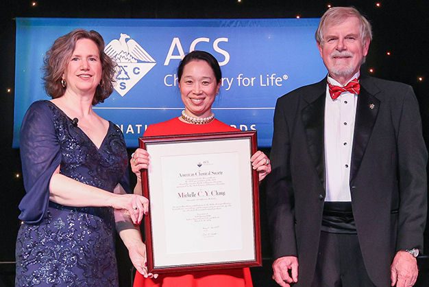 2024 Fluorine Chemistry Award Recipient Michelle C. Y. Chang
