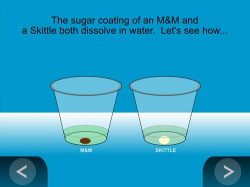 dissolving an M&M and a Skittle animation