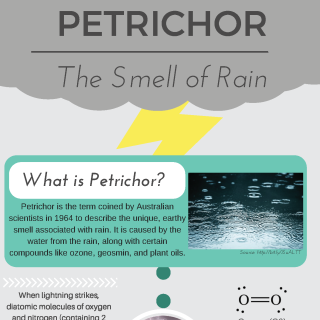 Petrichor - The Smell of Rain