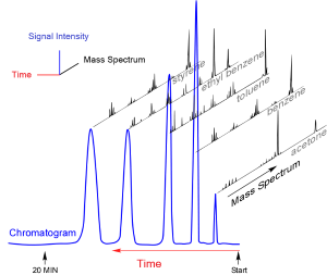 Gas chromatogram of a mixture, with mass spectra of individual components.