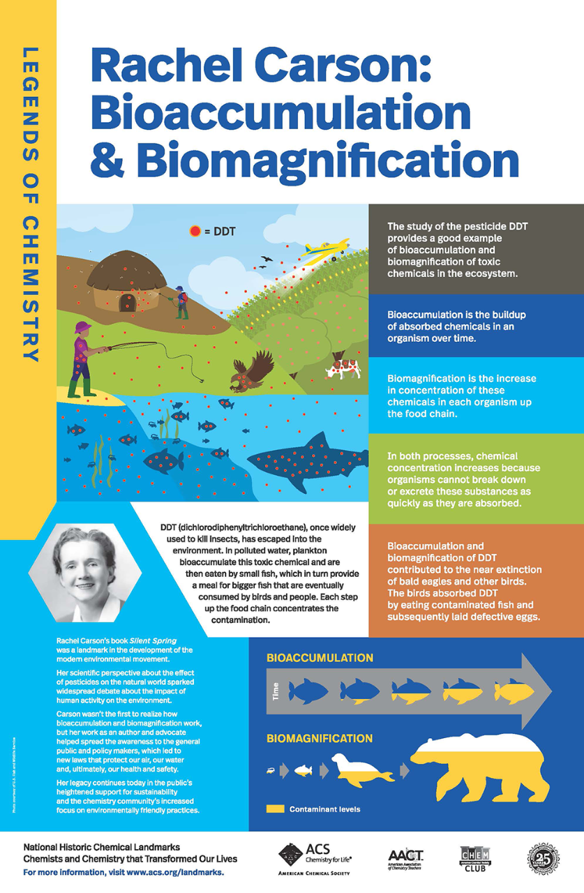 link to poster about Rachel Carson's work on bioaccumulation and biomagnification