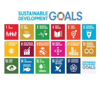 Sustainable Development Goals - colorful chart