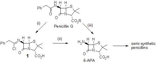 Industrial synthesis of penicillin