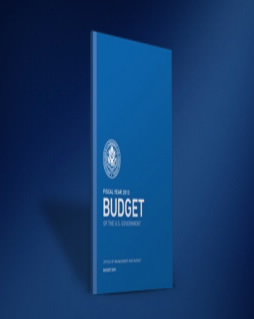 U.S. Office of Management and Budget 2013 cover