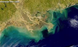 dead zone (hypoxia) in the Gulf of Mexico