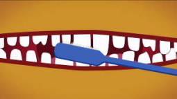 cartoon of tooth brushing