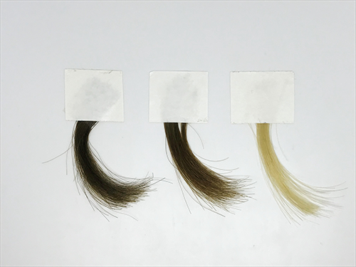 samples of hair dyed with synthetic melanin