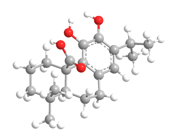 3D Image of Carnosic Acid