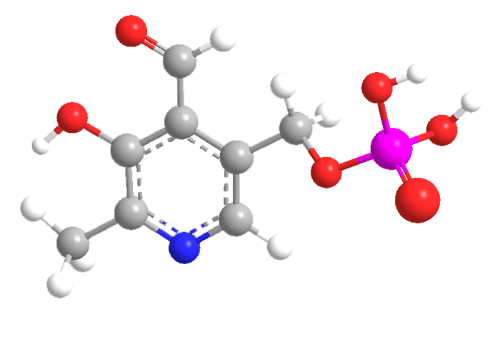3D Image of Pyridoxal 5-phosphate