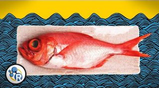 How To Make Fish Less Fishy (Chemistry Life Hacks)  image