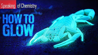 How do some animals glow? — Speaking of Chemistry image