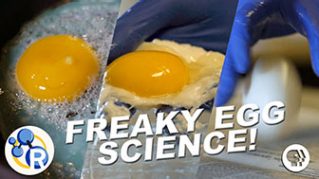 “Cook” an Egg with No Heat!? (Egg-cellent Weird Science Experiments) image