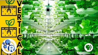 Is this the Farm of the Future? image