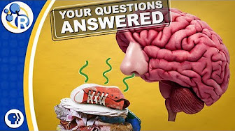 Q&A Vol.1: Nose Blindness, Mouthwash, and Hand Sanitizer--Your Questions Answered image