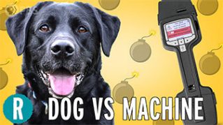 Dog vs. machine: Who’s a better bomb detector ? image