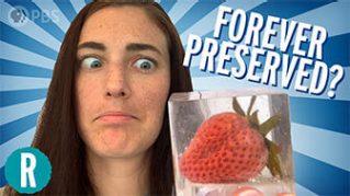 We Tried to Preserve a Strawberry Forever. Things Got…Ugly image
