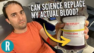 Why don’t we have synthetic blood yet? image