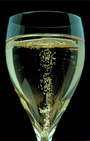 Bubbles in a champagne glass