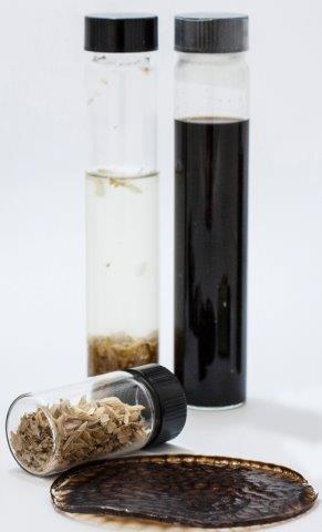 Several husks of rice husks alongside a dark disc of bioplastic made from them