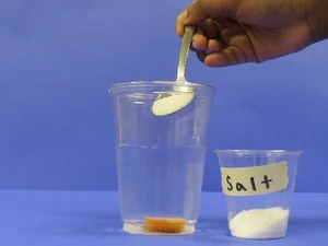 Adding salt to water that has carrot slice at bottom.