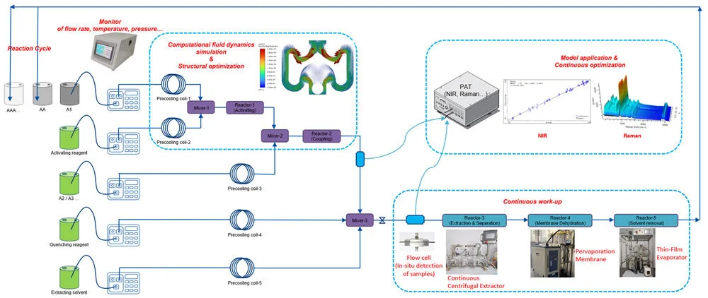 download high quality diagram showing the set up of CFLPPS for a cyclic peptide