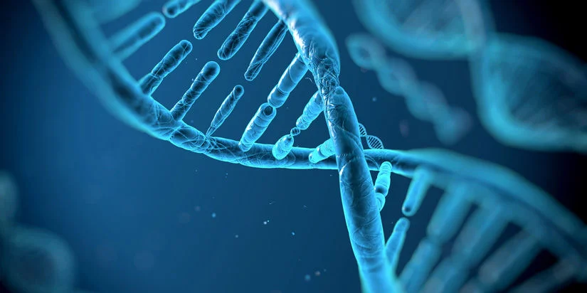 Illustration of DNA structure