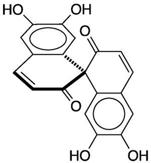 Molecule of  the future