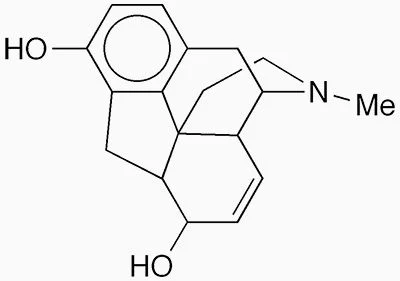Molecule of the Future: (+)-Carbamorphine