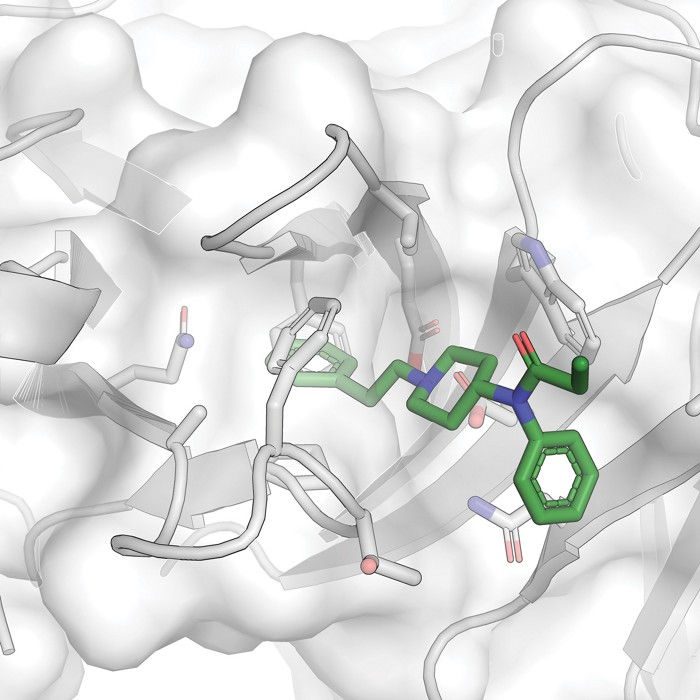 protein structure diagram, with a small molecule docked inside the binding pocket