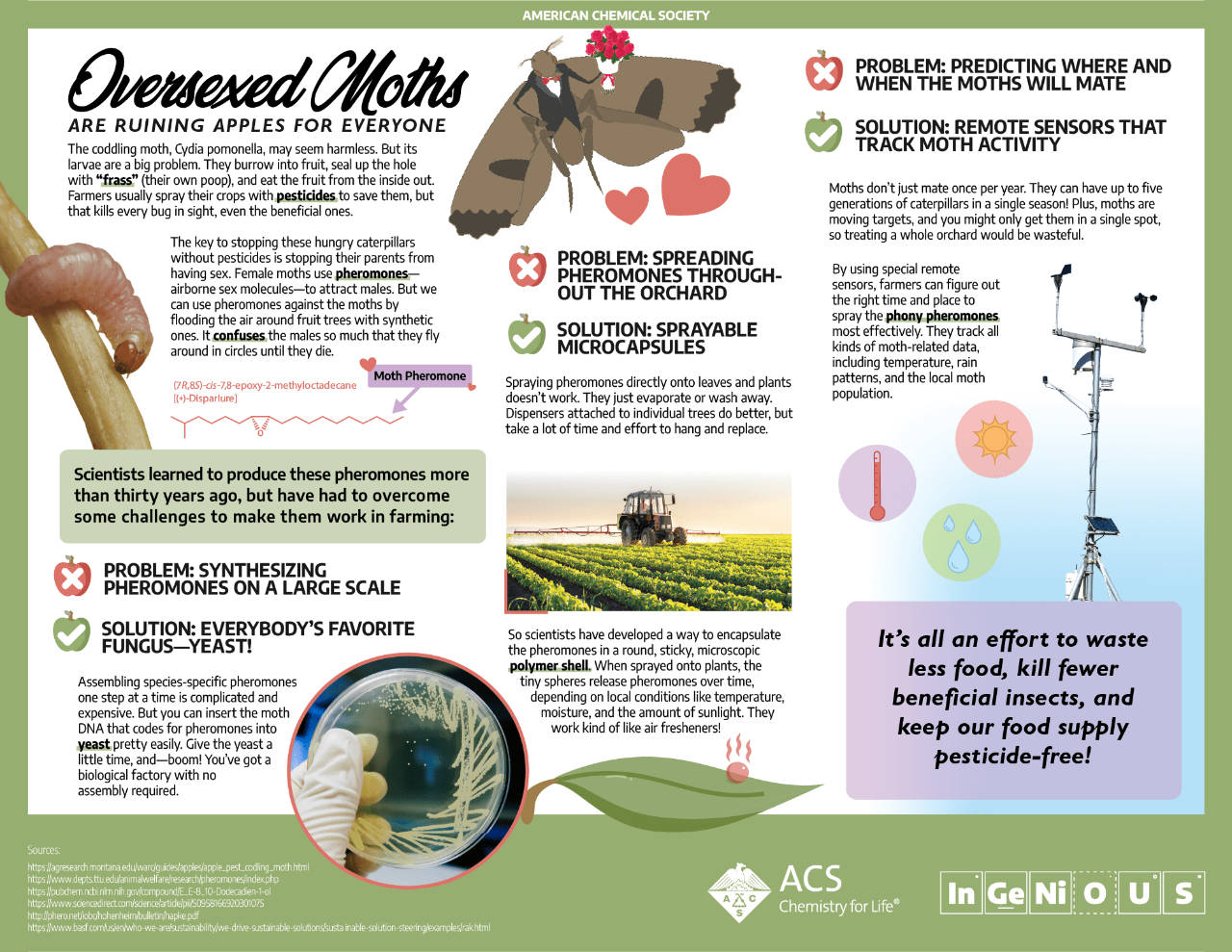 Oversexed Moths Are Ruining Apples for Everyone: Infographic