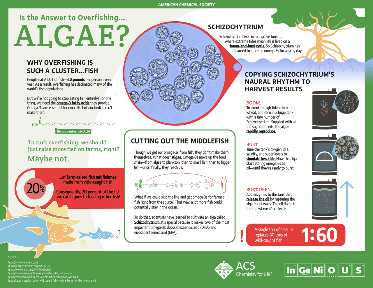 Is the Answer to Overfishing . . . Algae? Infographic