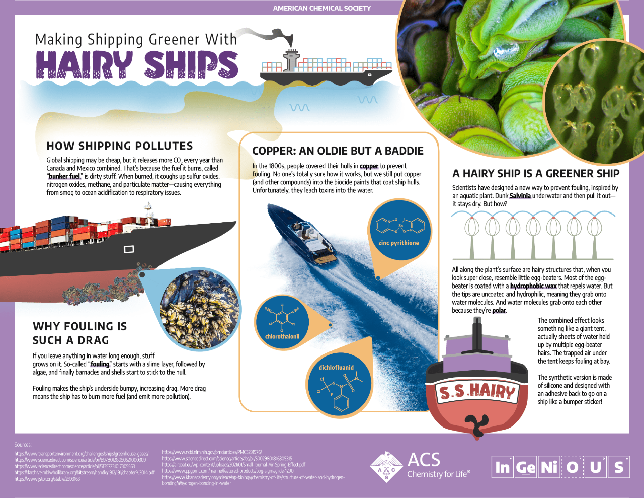 Making Shipping Greener with Hairy Ships: Infographic