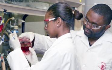Two chemists working in a lab