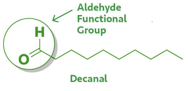 Molecular structure of one of cilantro's aldehydes, decanal.