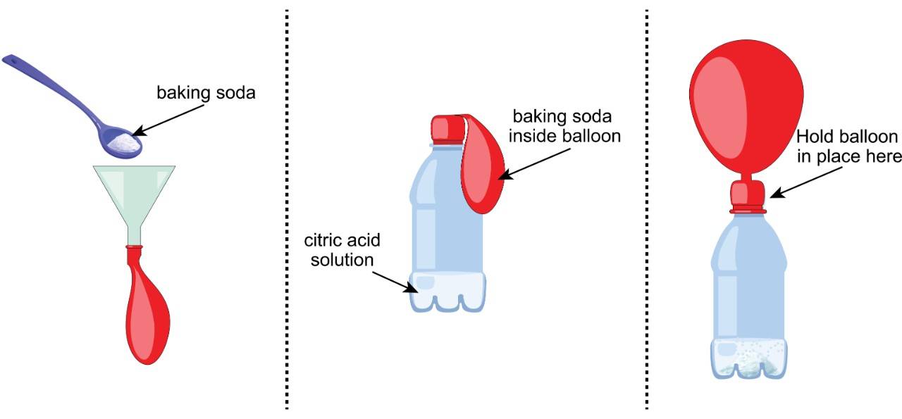 Insert the funnel (if using) into the neck of the balloon and add baking soda. Stretch the neck of the balloon over the neck of the bottle, allowing balloon to hang down. Holding the balloon tight against the bottle, tip the balloon up to add the baking soda to the citric acid solution.