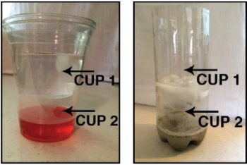 Diagram of set-up: cup 1 is placed inside cup 2 so that there is space above the water in cup 2