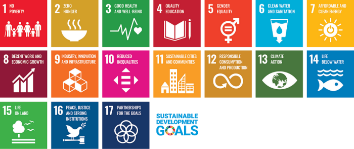United Nations 17 Sustainable Development Goals