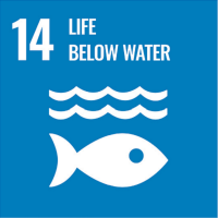 UN Sustainable Development Goal 14: Life Below Water