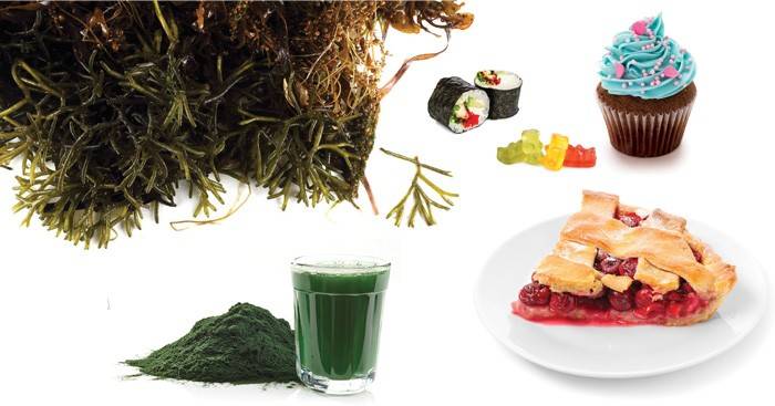 Foods containing algae