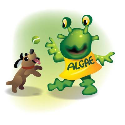 Algae illustration