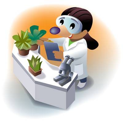 Illustration of a mole scientists tending to plants
