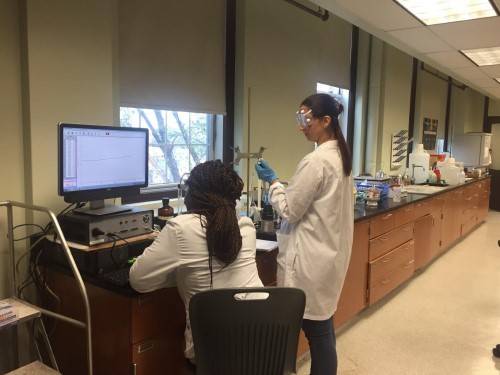 Students at St. Peter's University working in the laboratory. 