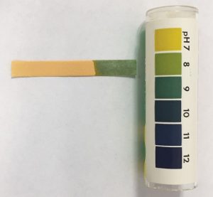 pH strip showing a pH of 8