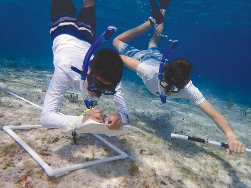 students doing research, snorkeling in water
