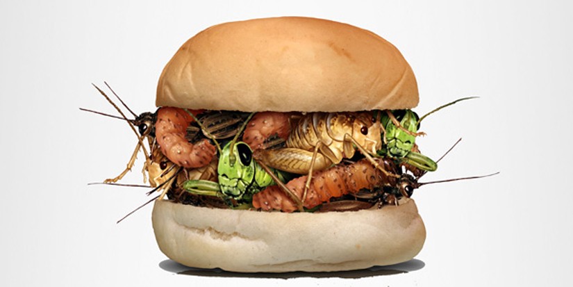 Illustration of insects inside a burger