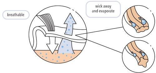 Illustration of how yarn wicks away sweat