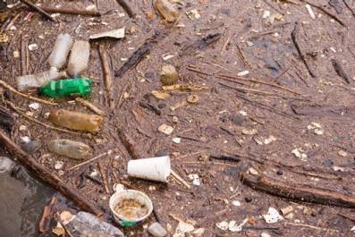 Trash on the riverbank of the Anacostia River