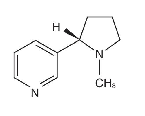 nicotine molecular structure
