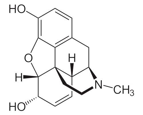 morphine molecular structure