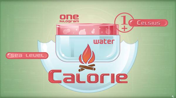 calorie-screen-shot